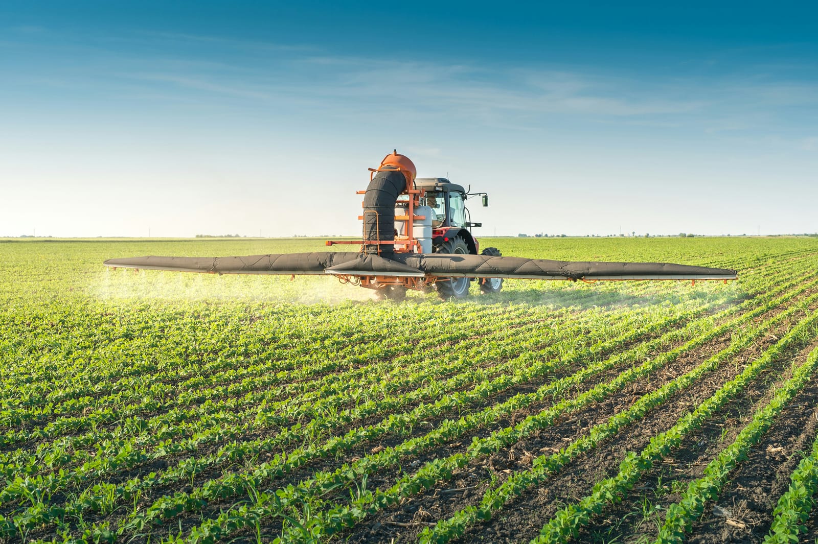 Crop rows photographed at low level in open farmland